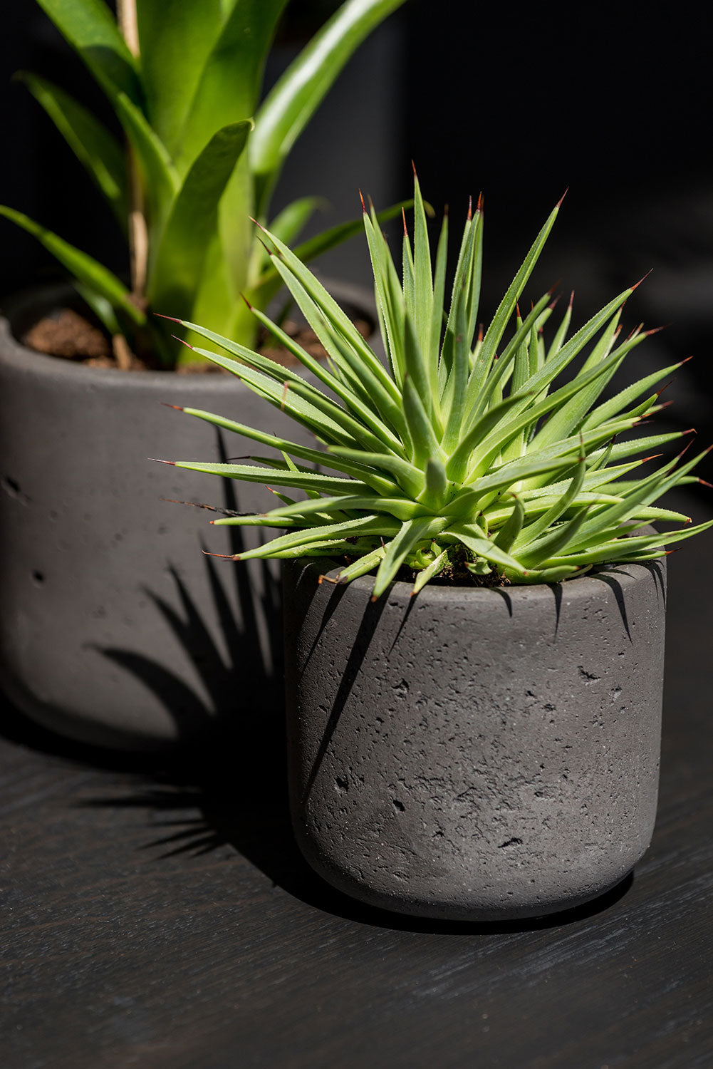 Tabletop/Floor Pots