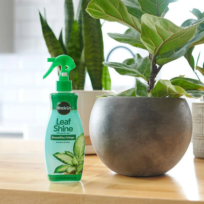 Miracle-Gro® Leaf Shine