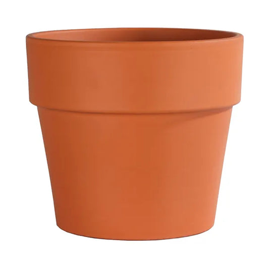 Terracotta Pot