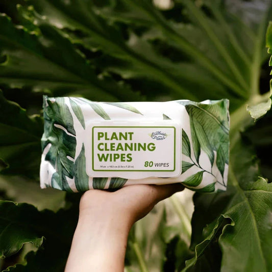 Plant Cleaning Wipes