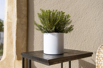 Puk Tabletop Pot