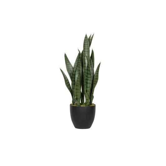 Sansevieria (artificial)