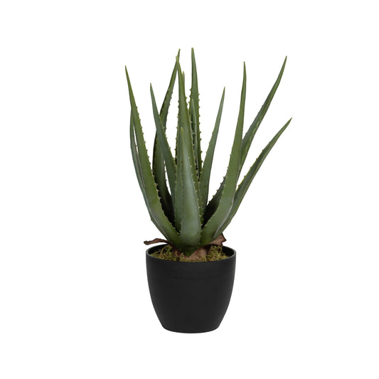 Aloe (artificial)