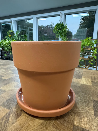 Terracotta Pot