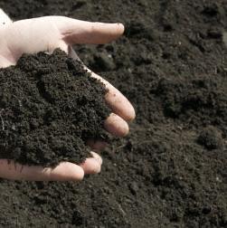 Soil Products